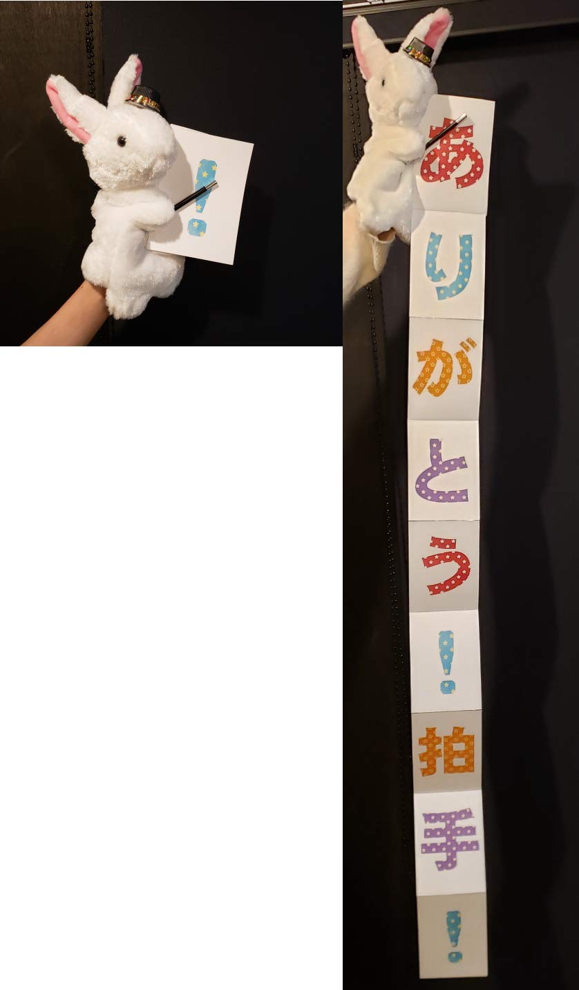 Amazon | 手品屋 ウサギのマジックショー ＜パペットウサギが持った